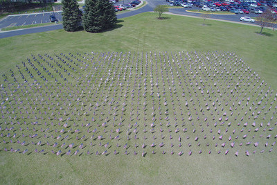 Overhead view of the Field of Flags