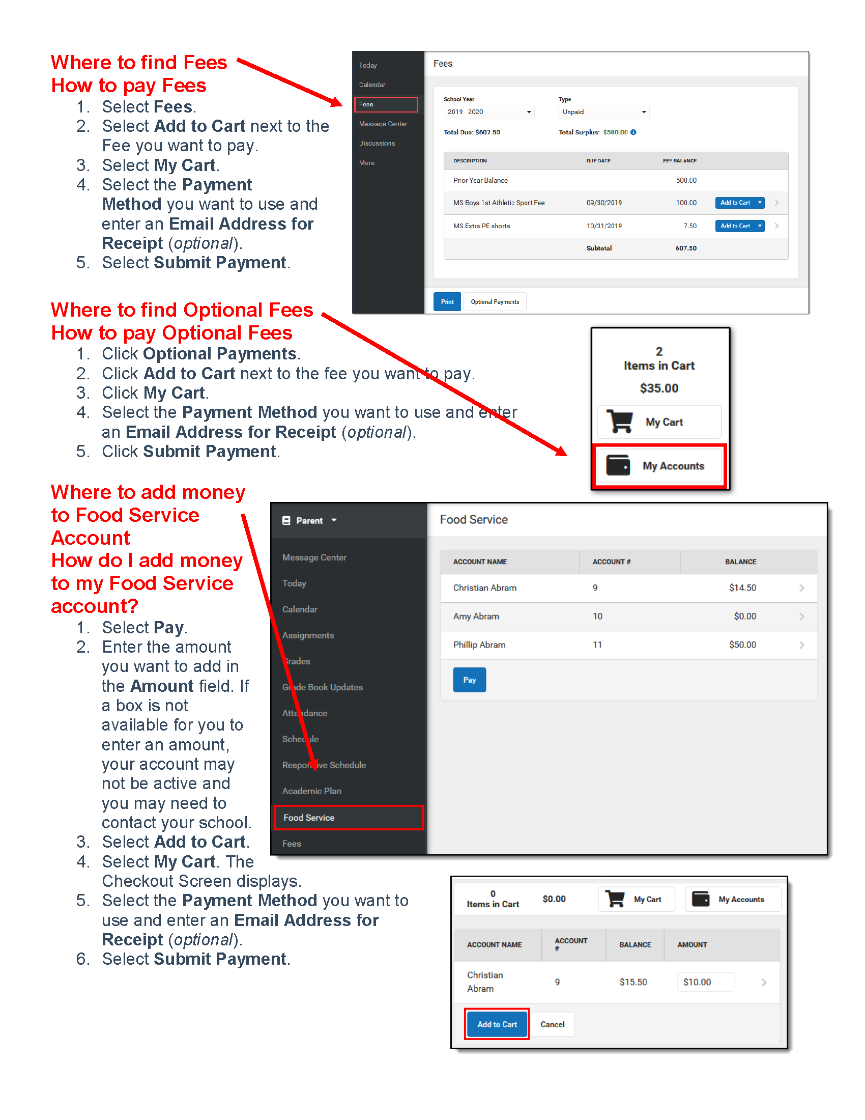 How to Pay Fees